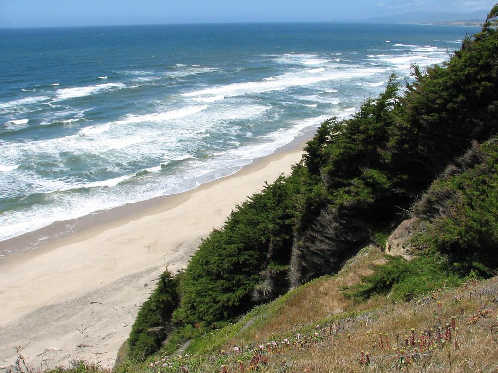 Sandee - San Gregorio State Beach