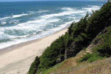 Sandee - San Gregorio State Beach