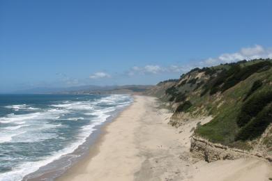 Sandee - San Gregorio State Beach