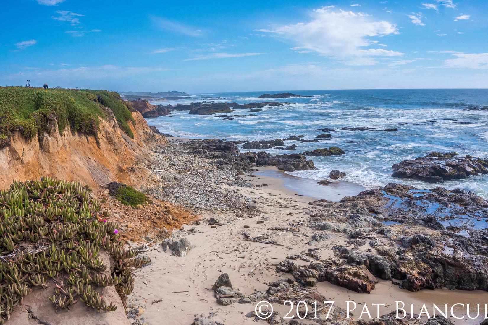 Sandee - San Gregorio State Beach