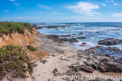 Sandee - San Gregorio State Beach