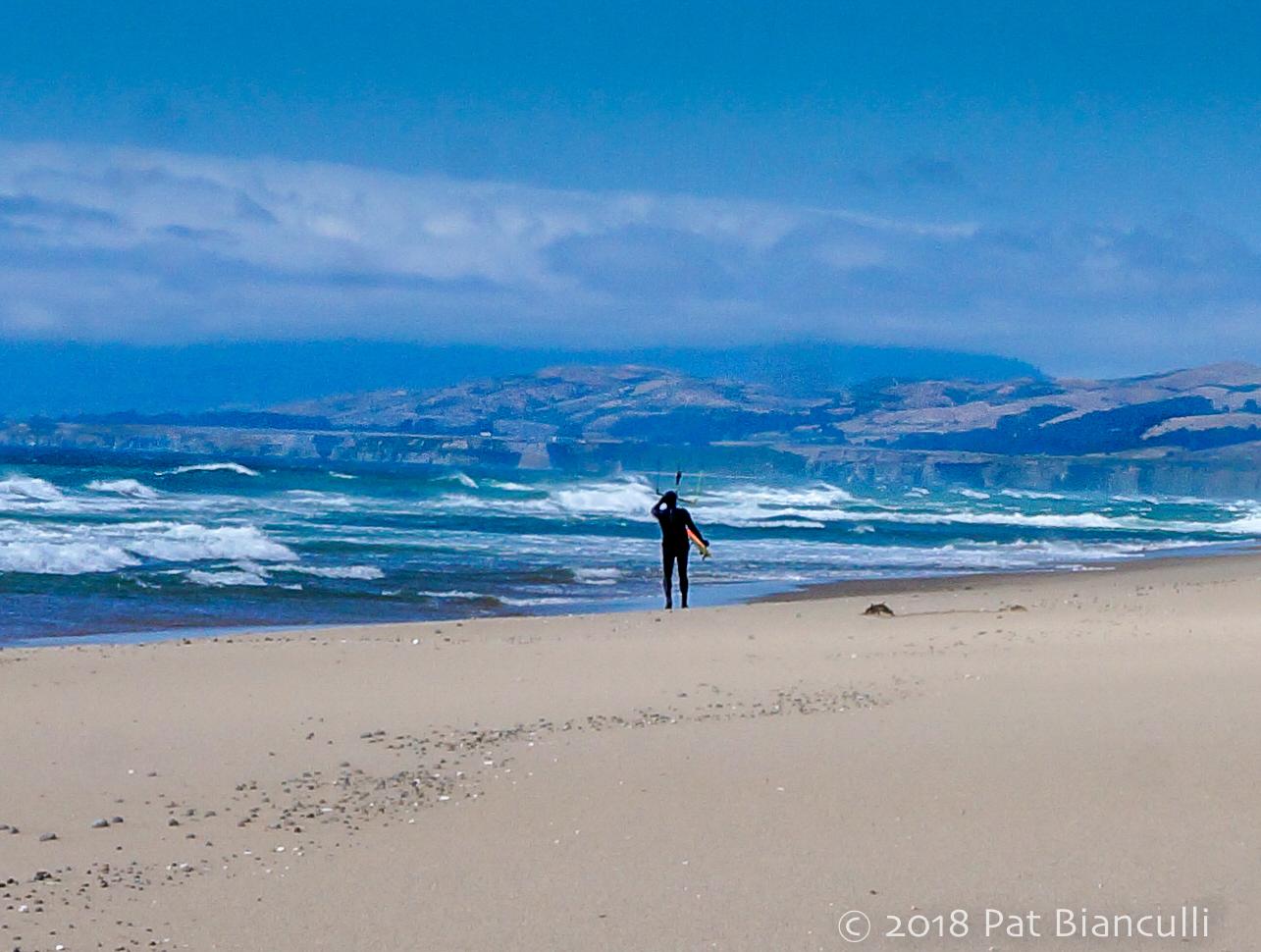 Sandee - San Gregorio State Beach