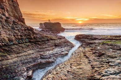 Sandee - Coast Dairies State Park - Davenport Beach