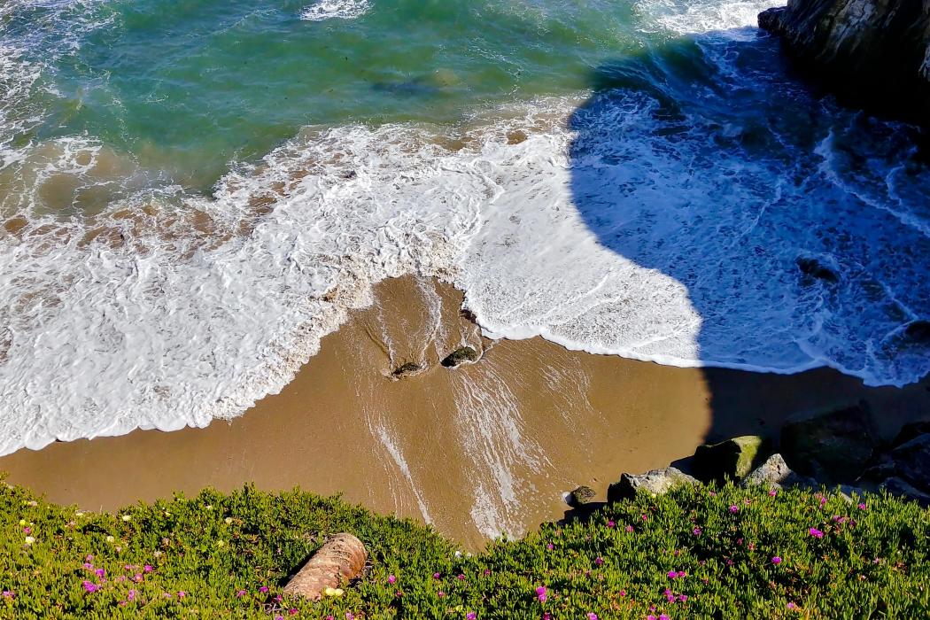 Sandee Natural Bridges State Beach