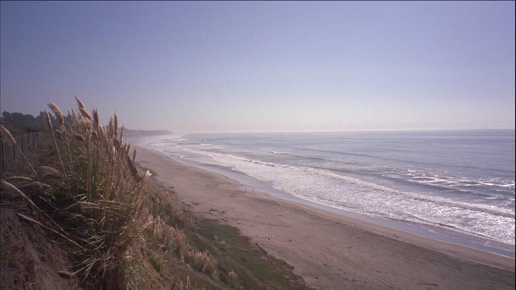 Sandee New Brighton State Beach Photo