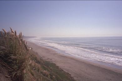 Sandee New Brighton State Beach Photo