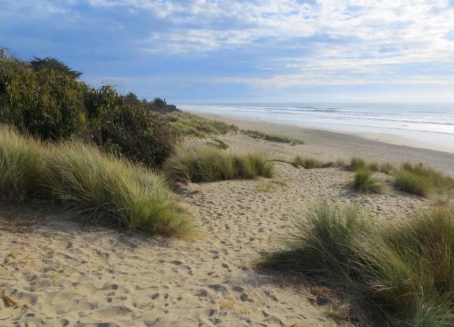 Sandee - HomePage / Pajaro Dunes