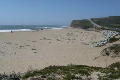 Sandee Coast Dairies State Park - Scott Creek Beach