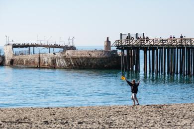 Sandee - Seacliff State Beach