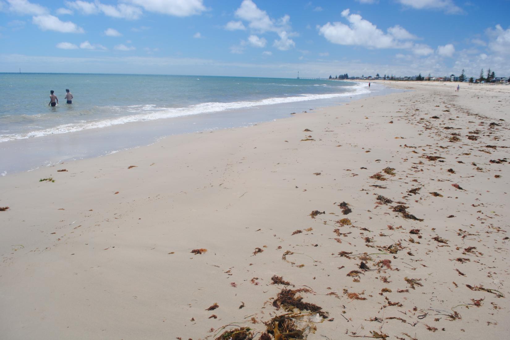 Sandee - Seacliff State Beach