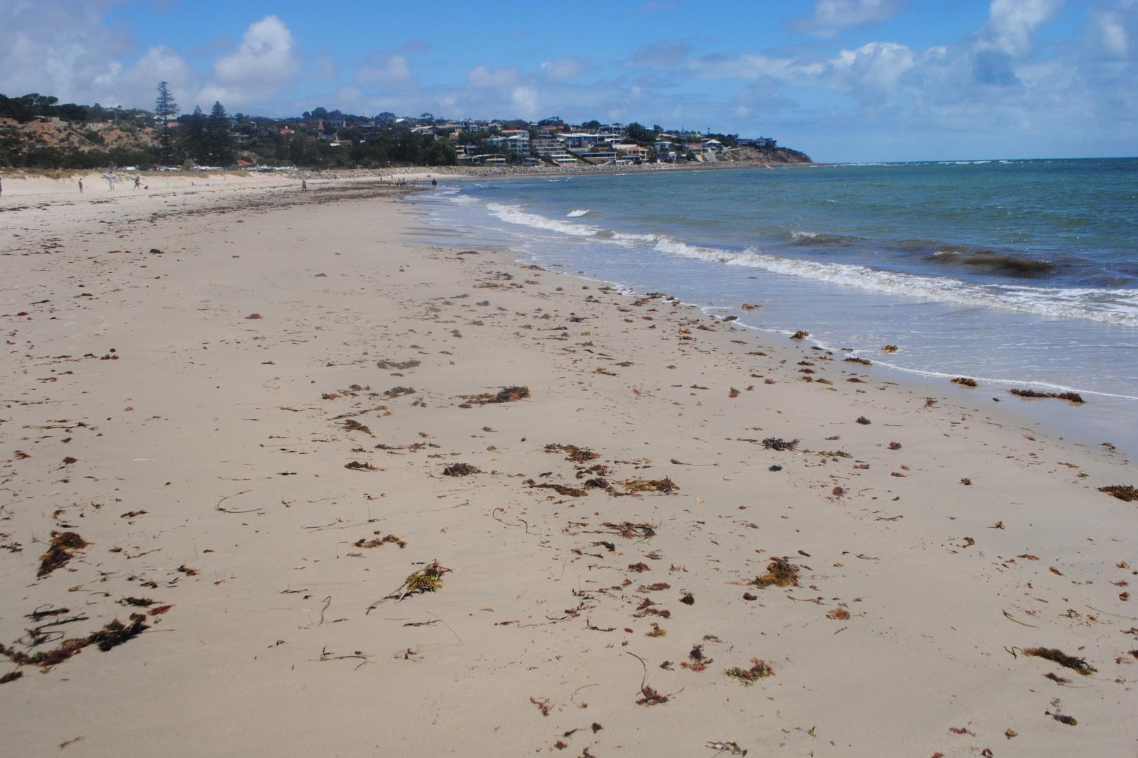 Sandee - Seacliff State Beach