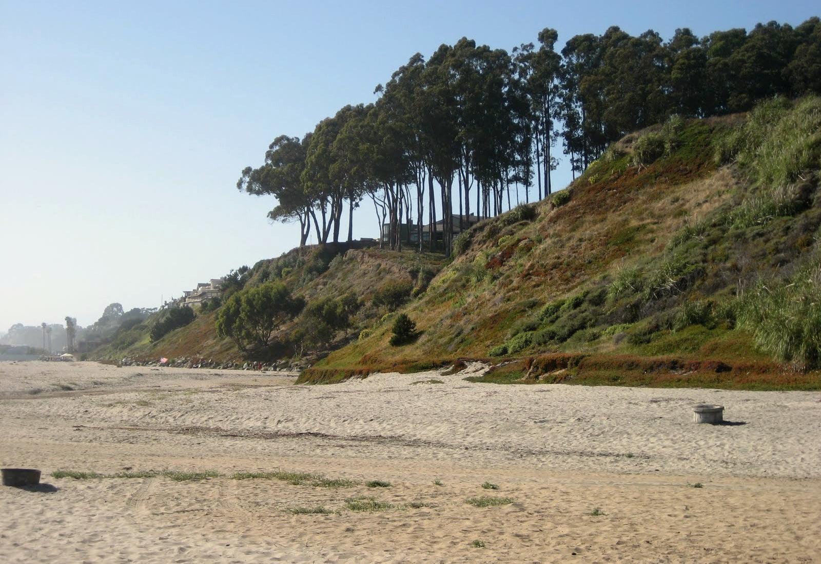 Sandee - Seascape Park Beach