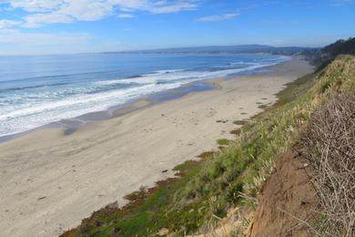 Sandee - Seascape Park Beach