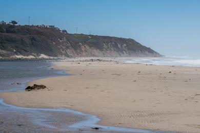 Sandee - Waddell Creek Beach