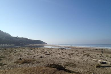 Sandee - Waddell Creek Beach