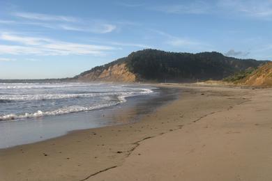 Sandee - Waddell Creek Beach