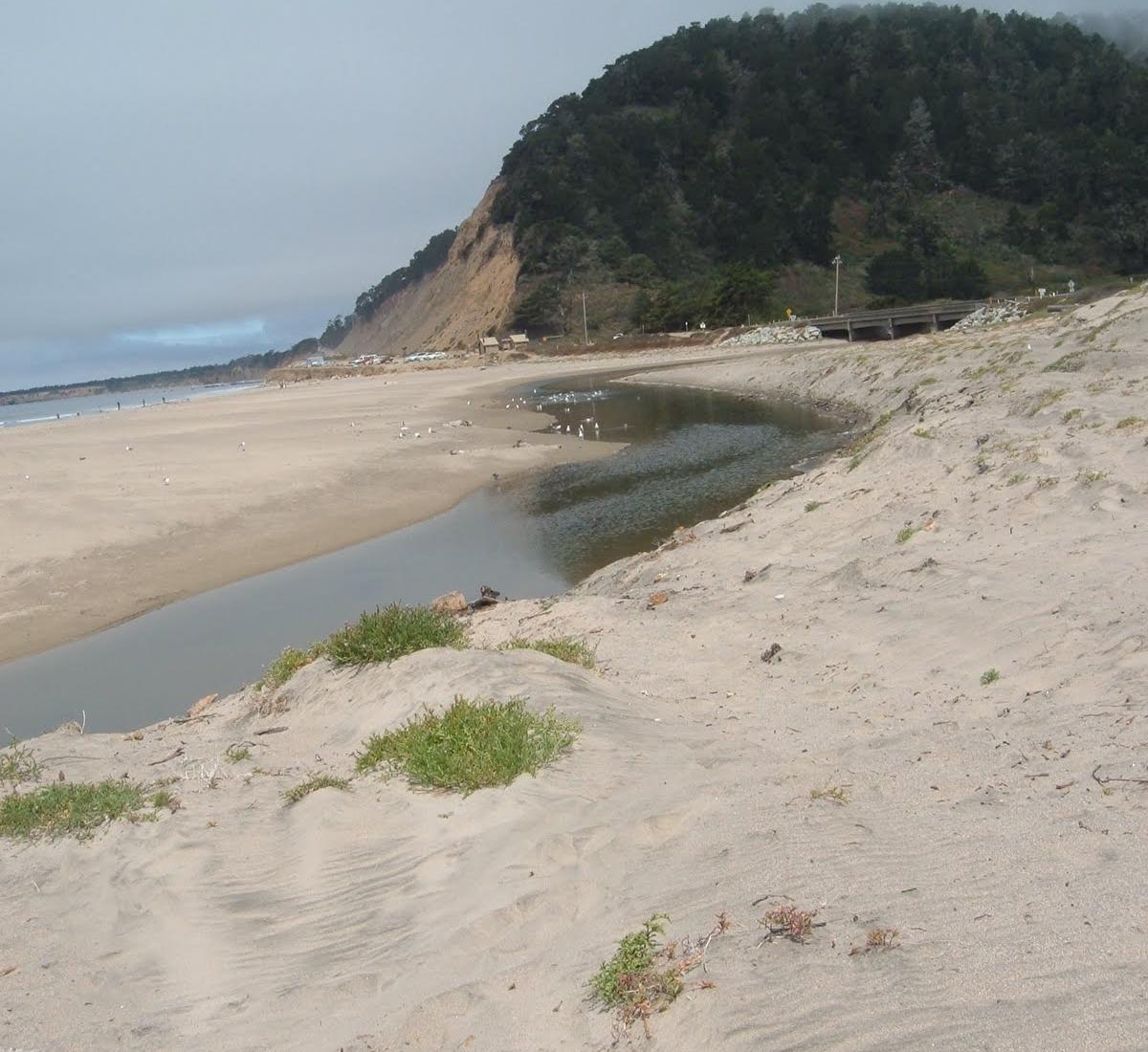 Sandee - Waddell Creek Beach