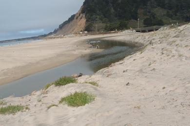 Sandee - Waddell Creek Beach