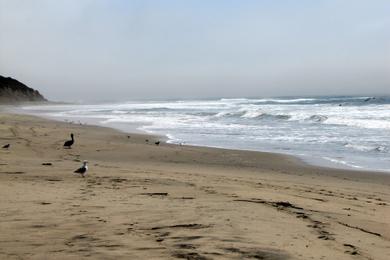 Sandee - Waddell Creek Beach