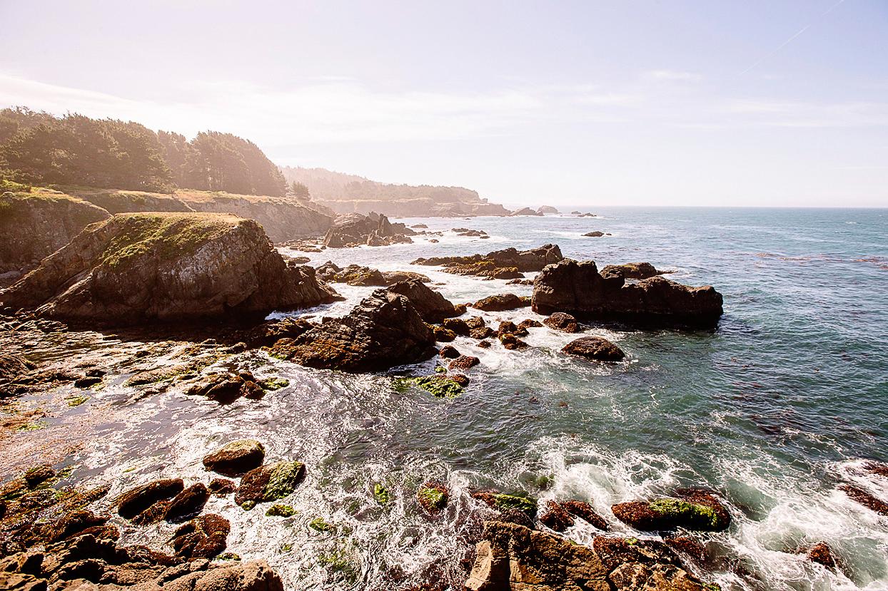 Sandee - HomePage / Sea Ranch