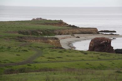 Sandee - Estero Bluffs State Park