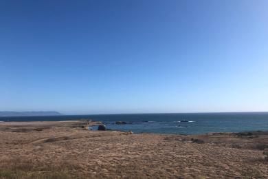 Sandee - Estero Bluffs State Park