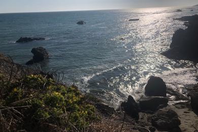 Sandee - Estero Bluffs State Park