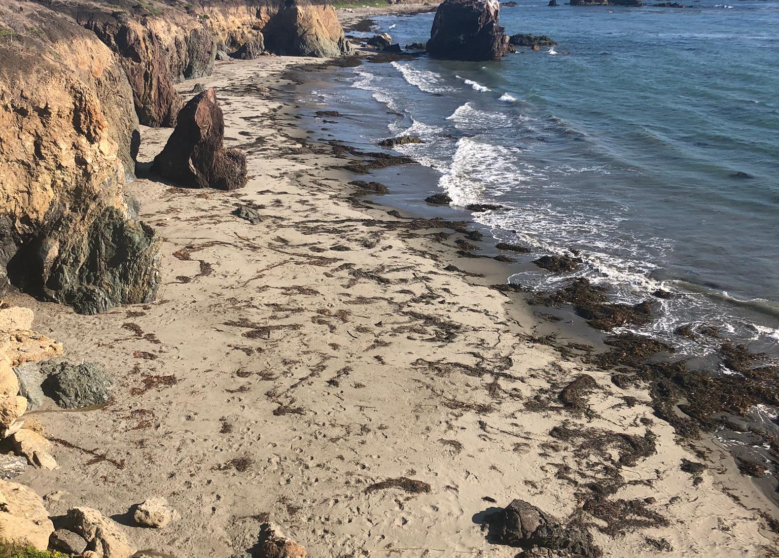 Sandee - Estero Bluffs State Park