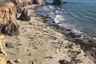 Sandee - Estero Bluffs State Park