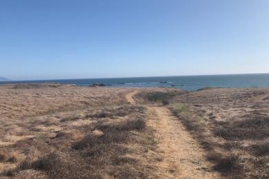 Sandee - Estero Bluffs State Park