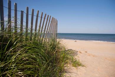 Sandee - Country / Bethany Beach