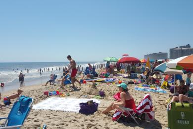 Sandee - South Bethany Beach