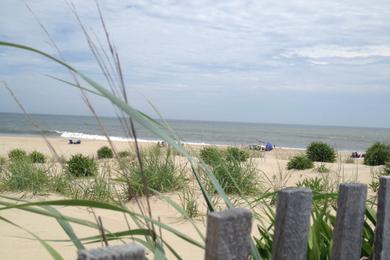 Sandee - Fenwick Island State Park Beach South