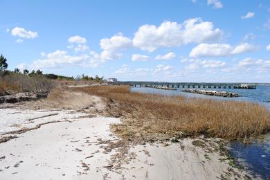 Sandee Holts Landing State Park
