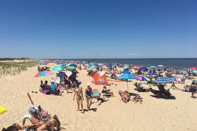 Sandee Lewes Beach