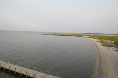Sandee Arrowhead Point