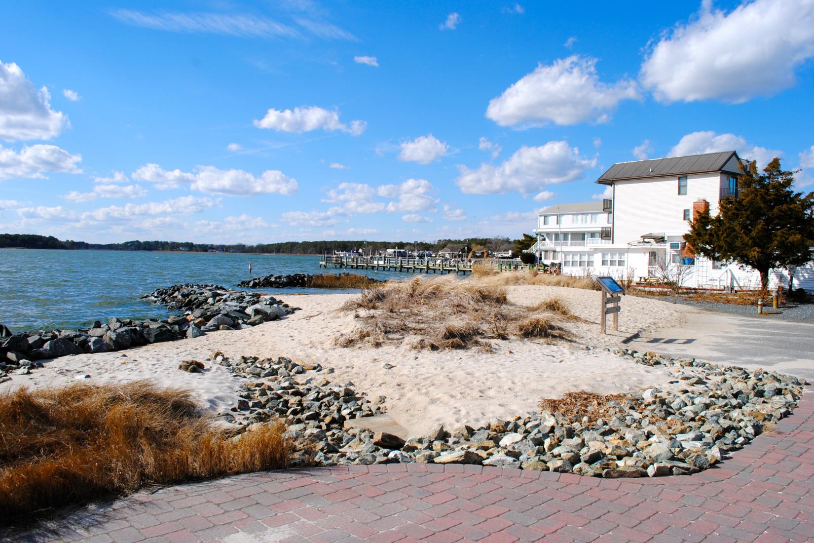 Sandee - HomePage / Dewey Beach