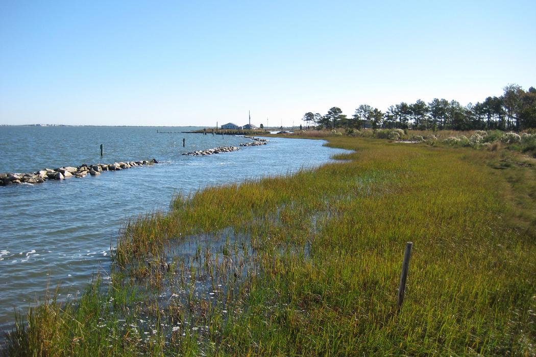 Sandee Indian River Marina