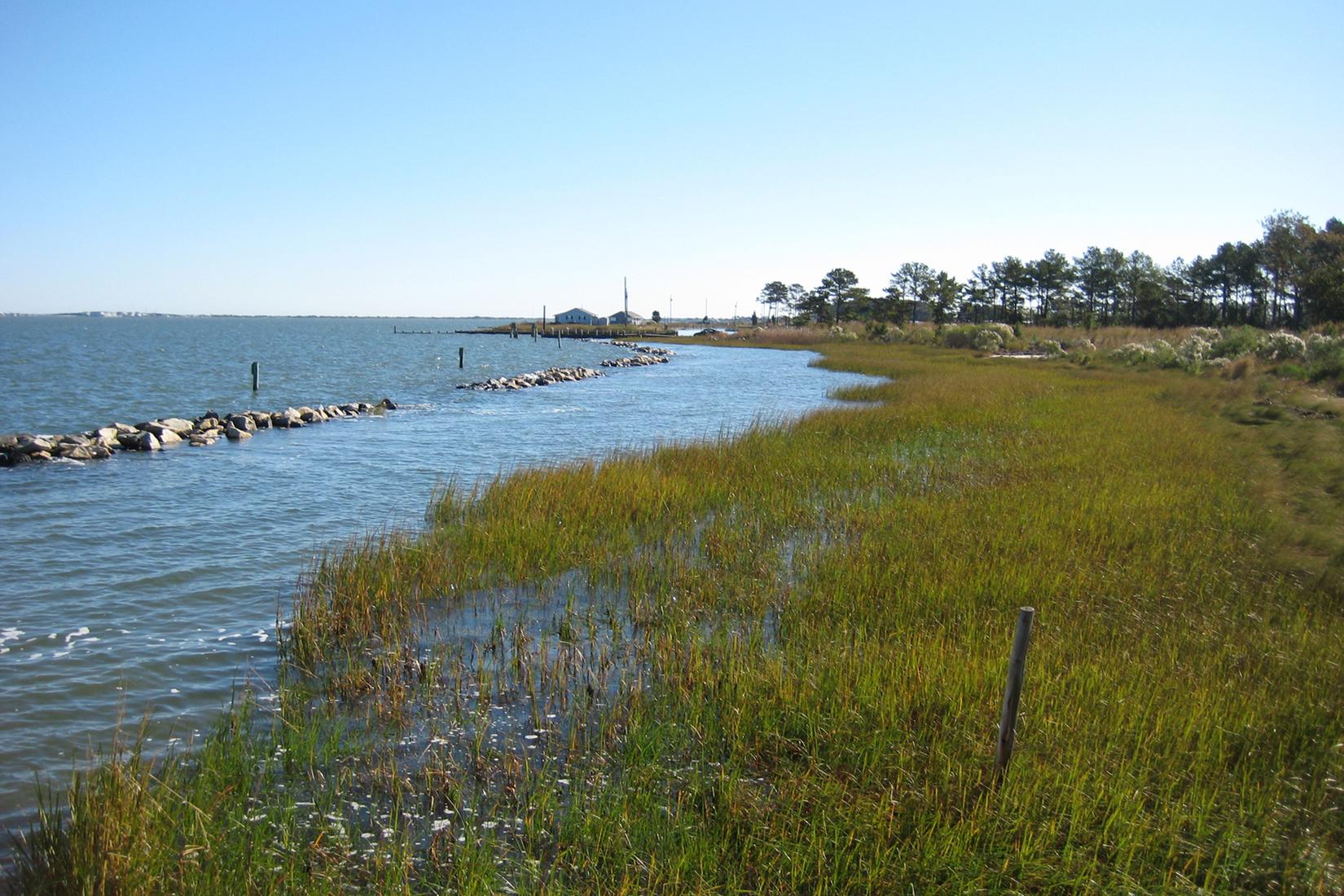 Sandee - Indian River Marina