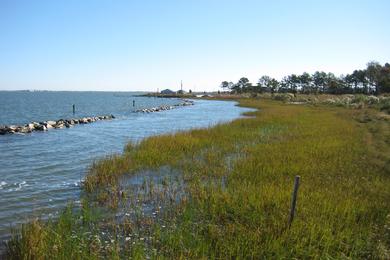 Sandee Indian River Marina Photo