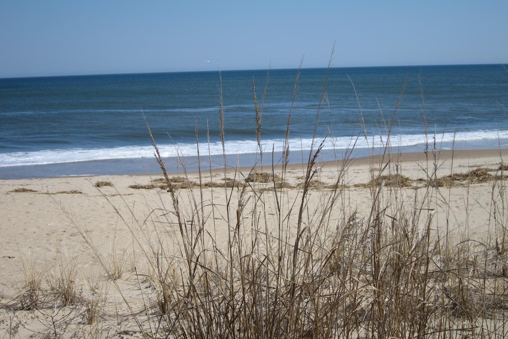 Sandee - Delaware Seashore State Park