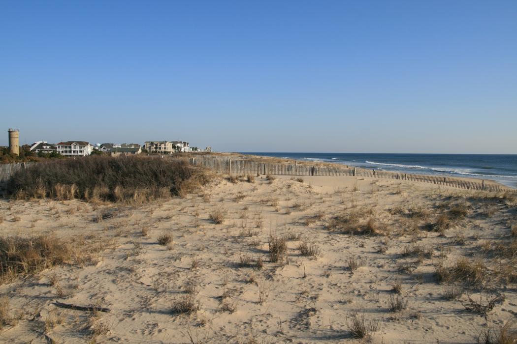 Sandee Delaware Seashore State Park