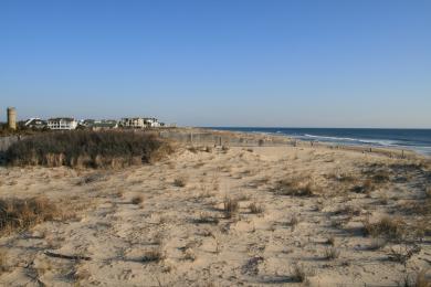 Sandee Delaware Seashore State Park Photo