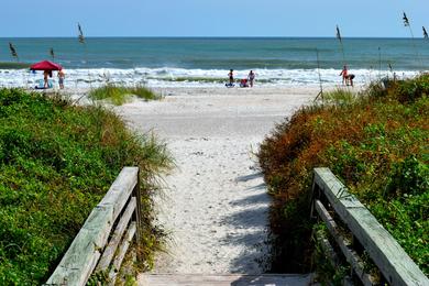 Sandee Henderson Beach State Park Photo