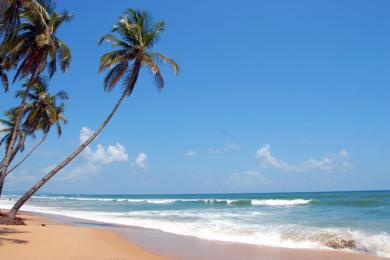 Sandee Colva Beach