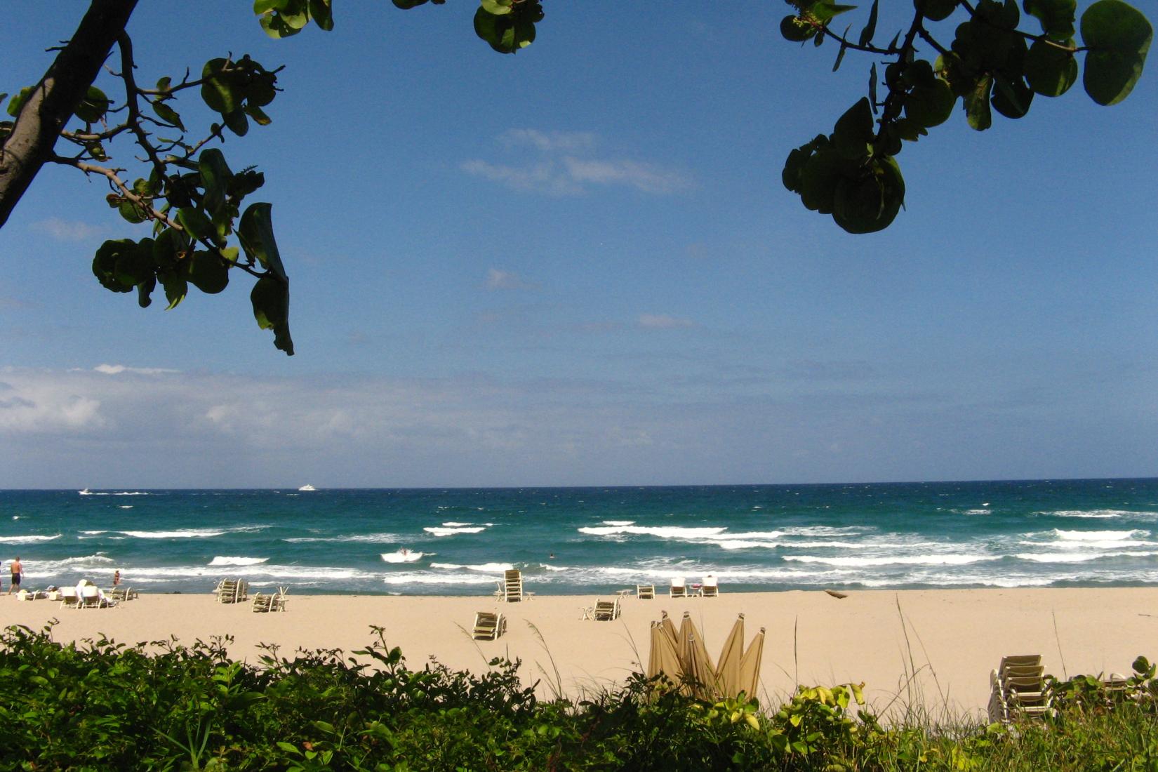 Sandee - Palm Beach Shores