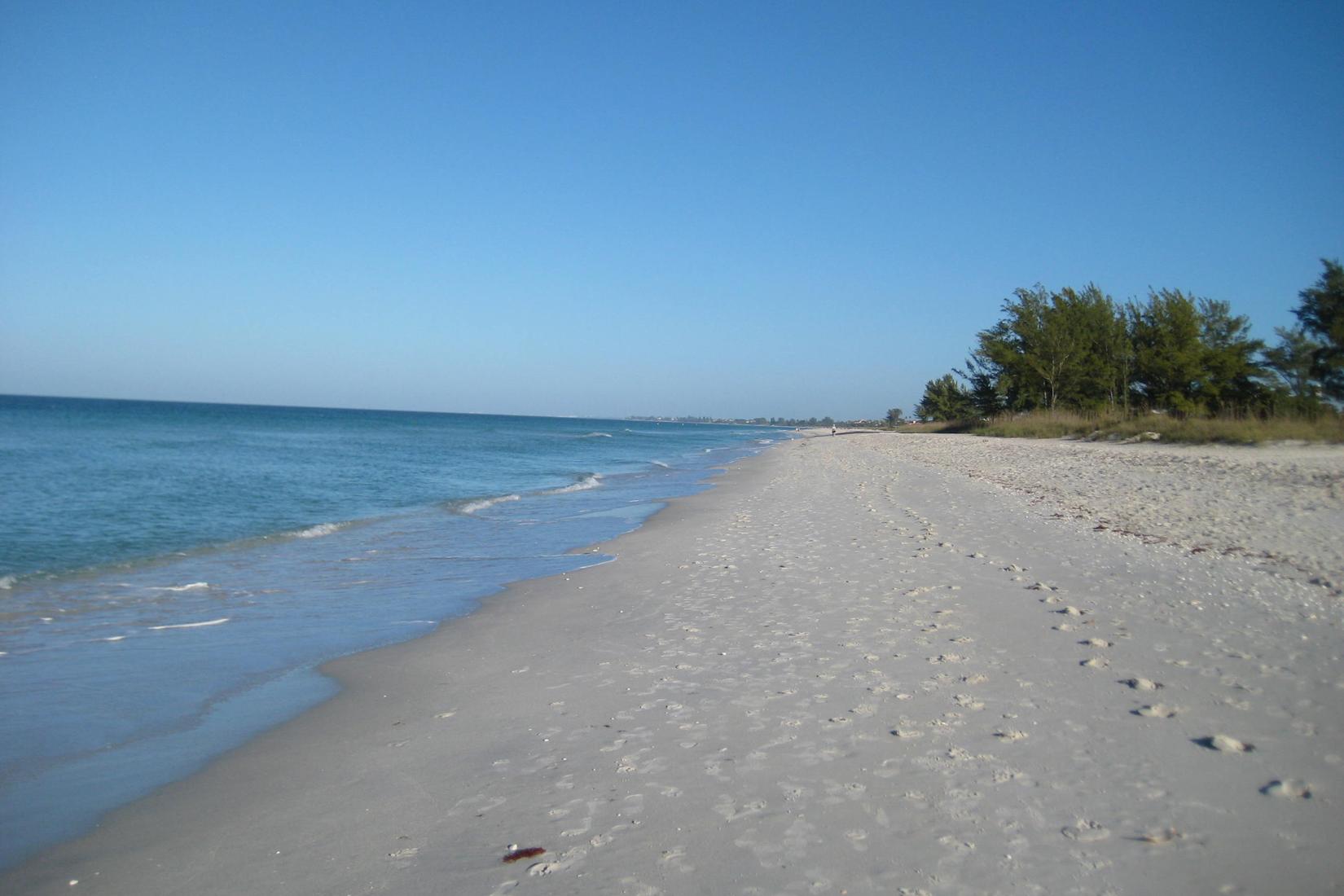 Sandee - Nokomis Beach