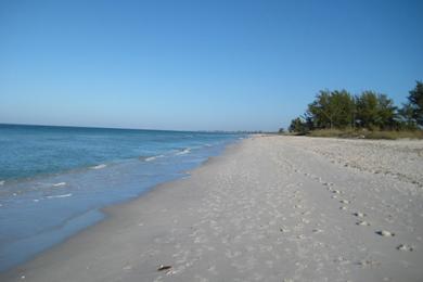 Sandee - Nokomis Beach