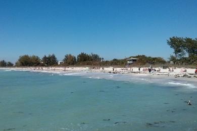 Sandee - Nokomis Beach