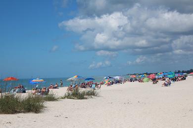 Sandee - Nokomis Beach